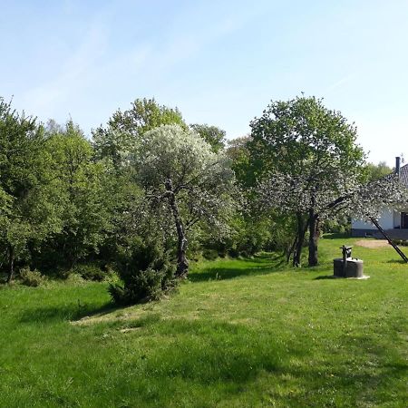 Happiness Country Retreat Villa Bubel Eksteriør bilde